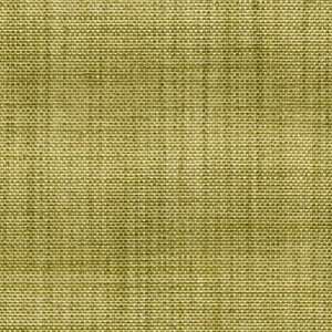  30664 3 by Kravet Smart Fabric