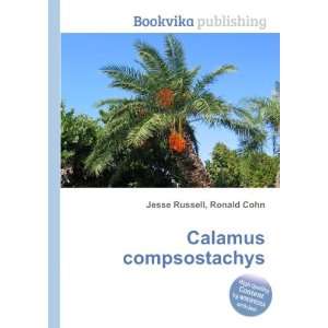  Calamus compsostachys Ronald Cohn Jesse Russell Books