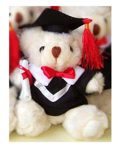 Graduation Diploma Grads Teddy Gift Plush Doll Bear  
