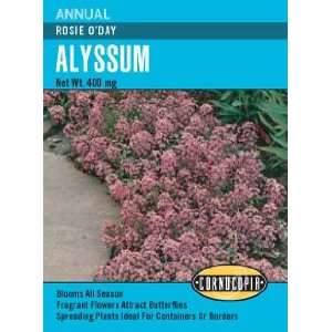  Alyssum Rosie ODay Seeds Patio, Lawn & Garden