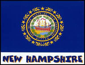 New Hampshire State Flag T Shirt New 8 Sizes 3 Colors  