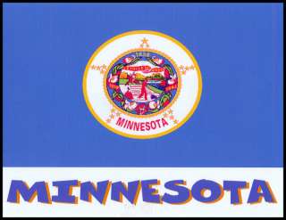 Minnesota State Flag T Shirt New 8 Sizes 3 Colors  