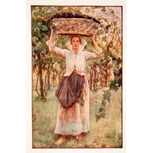  1905 Color Print Portrait Contandina Woman Casentino 