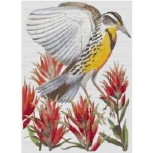  Wyoming State Bird and Flower Counted Cross Stitch Pattern 