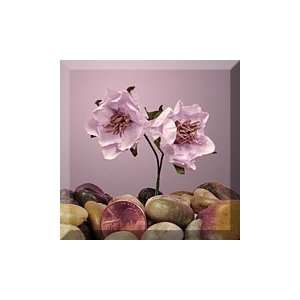  40ea   1 1/8 Purple/Pink Stargaze Wildflower Bouquet 