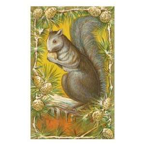  Squirrel in Pine Cones Giclee Poster Print, 24x32