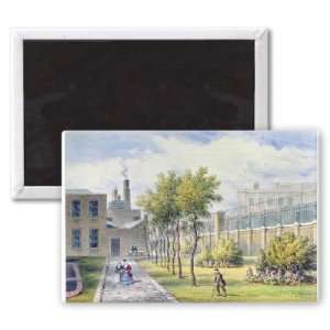 Garden of St. Thomass Hospital, Southwark,   3x2 inch Fridge Magnet 