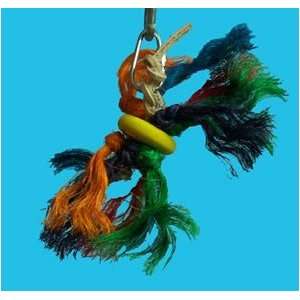  Zoo Max DUS101 Punky Small Bird Toy