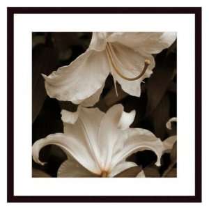 White Lilies by Rebecca Swanson Framed Wall Art, Black Wood Frame, 32 