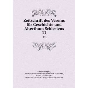   fÃ¼r Geschichte und Alterthum Schlesiens Richard Roepell  Books