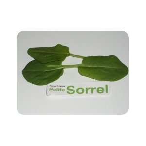 Micro Greens   Sorrel   4 x 8 oz  Grocery & Gourmet Food