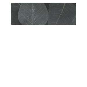  Wallpaper Astek Asian Naturals Leaves Foliages JL263