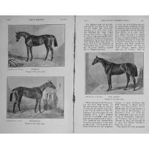   1910 Horses Miss Letty Cyprian Songstress Oaks Sport