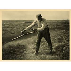  1927 Man Farmer Mowing Scythe Halligen Island Germany 