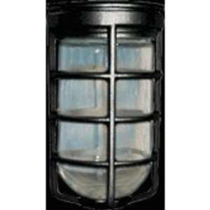  Vaporproof 100 Ceiling Black With Glass Globe Cast Guard 