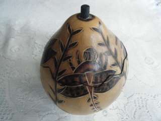 Natural Hand Carved Gourd Dragonfly Trinket Box Peru  