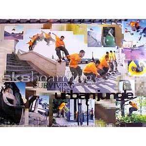  Sport Posters Sk8boarding   Surviving The Urban Jungle 