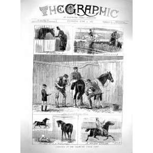  1880 Islington Horse Show Arab Jumping Sport Jockeys