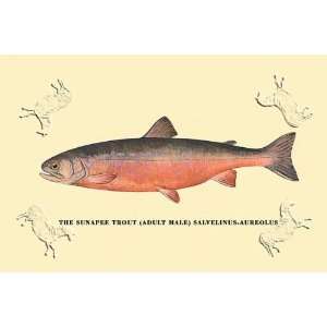  Sunapee Trout, The by George Sheringham. Size 26.50 X 17 