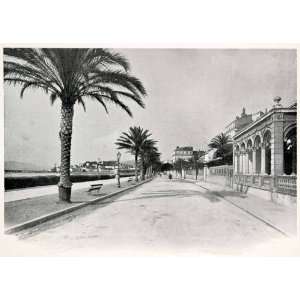  1902 Print Promenade Boulevard Croisette Cannes French 