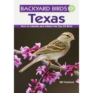 New Gibbs Smith Publisher Backyard Birds Of Texas Color 
