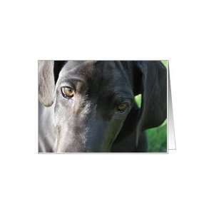 Missing You   Great Dane Card