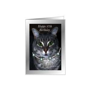  37th Happy Birthday ~ Spaz the Cat Card Toys & Games
