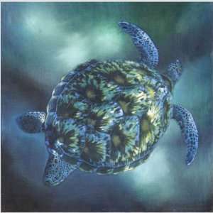  Green Sea Turtle by Unknown Size 16 x 20