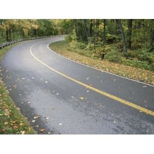  Tree Lined Curving Highway with Fallen Autumn Leaves Lying 