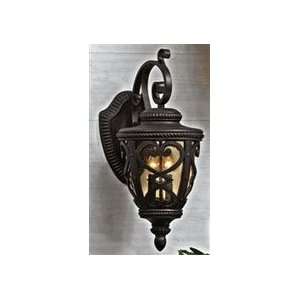  Outdoor Wall Sconces Quoizel FQ8310