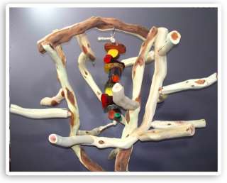 Manzanita Parrot Tree Bird Stand Toy Play Gym like Java Wood 