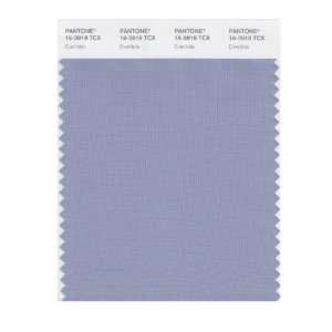  PANTONE SMART 16 3919X Color Swatch Card, Eventide