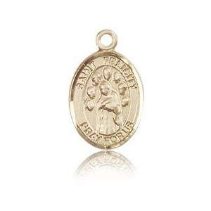  14kt Yellow Gold 1/2in St Felicity Charm Jewelry