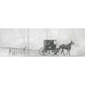  Through a Driving Snow Storm, an Amish Buggy Travels Along 