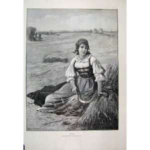  1890 Woman Harvest Country Scene Beautiful Old Print