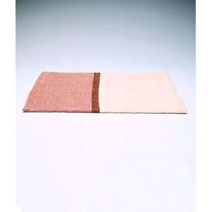  Cinnamon by Denby   Cotton Chenille Placemats   Set of 2 