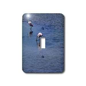 Florene Birds   Roseate Reflections II   Light Switch Covers   single 