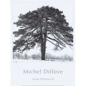  Arbres DHivers II   Poster by Michel Ditlove (11.75x15.75 