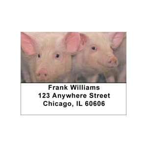  Pigs Address Labels