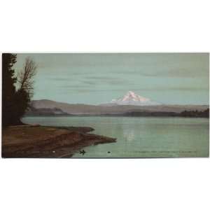  Reprint Mt. Hood from the Columbia River 1901