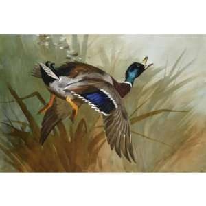   canvas   Archibald Thorburn   24 x 24 inches   Winged