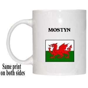  Wales   MOSTYN Mug 