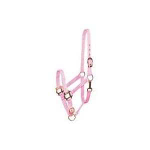 HALTER NYLON, Color PINK; Size HORSE (Catalog Category Equine Tack 