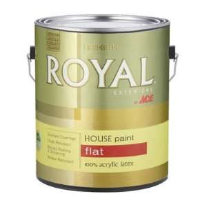   Ace Royal Shield Exterior Flat Latex House Paint Patio, Lawn & Garden