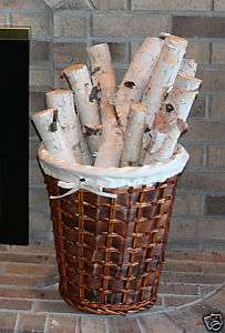 Birch bundle of logs  