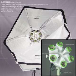Linco Flora Easy Softbox Studio Fluorescent Light Kit  