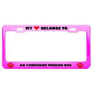 An Yorkshire Terrier Dog Pet Pink Metal License Plate Frame Tag Holder
