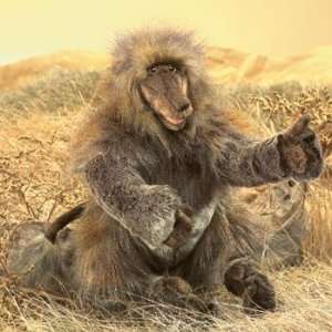  Stuffed Baboon Toys & Games