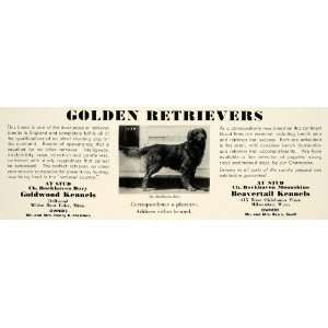   Ad Goldwood Beavertail Kennel Golden Retriever Dog   Original Print Ad