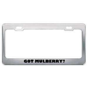 Got Mulberry? Eat Drink Food Metal License Plate Frame Holder Border 